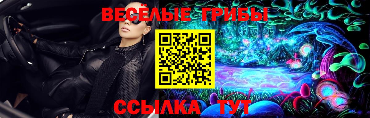 Псилоцибиновые грибы MAGIC MUSHROOMS Карасук